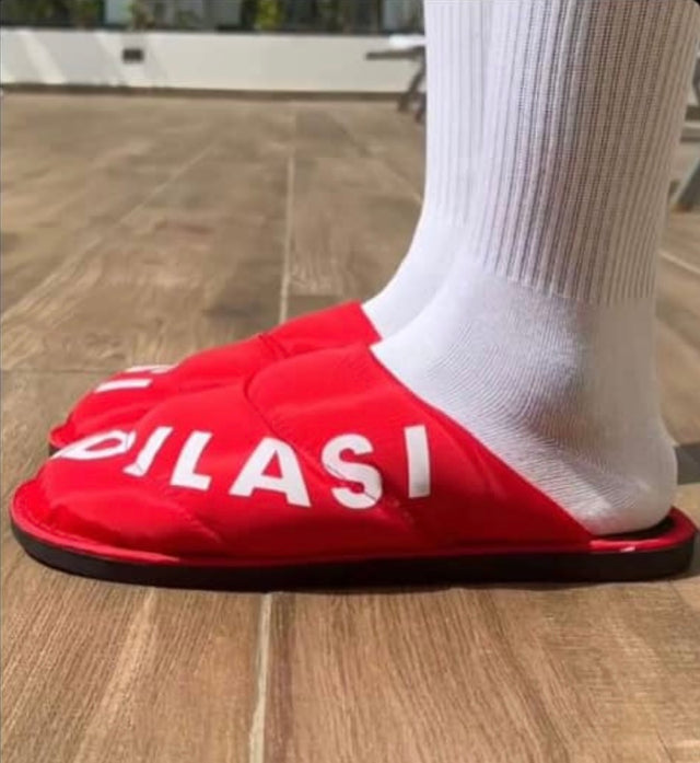 DILASI SLIDES
