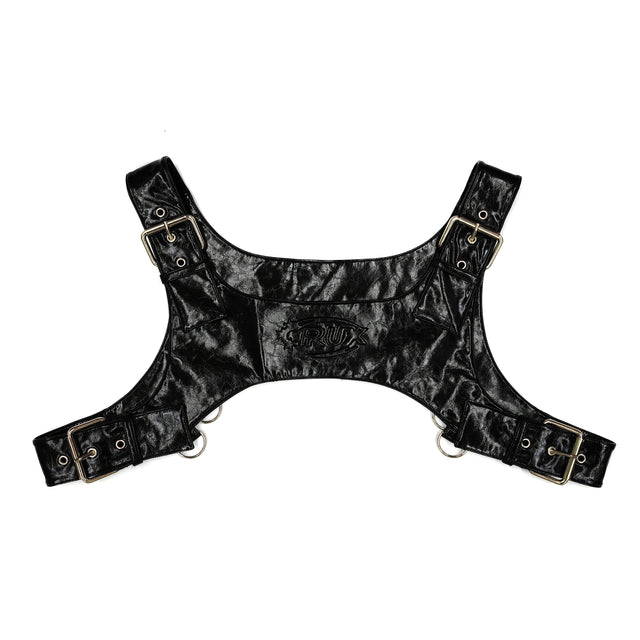 XYZ Leather Harness